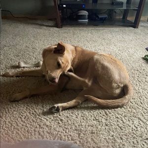 Meet your Posher, Christian